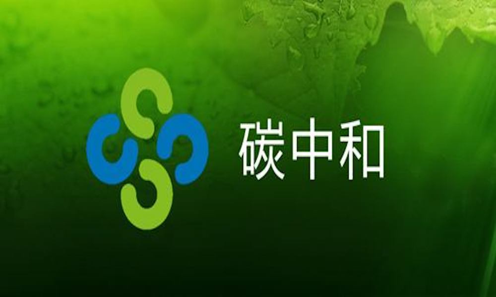 中国达成"碳中和"目标的安邦方案